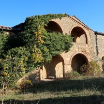 Nature takes back in the protected area Riserva Naturale di Castelvecchio